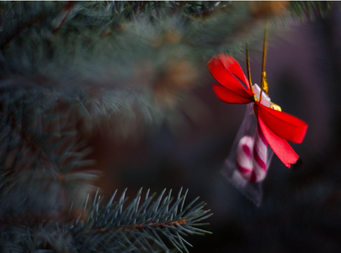 A Festive Solution to Medication Management: Colorful Christmas Trees and Wreaths