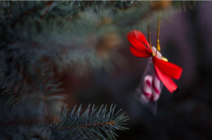 A Festive Solution to Medication Management: Colorful Christmas Trees and Wreaths